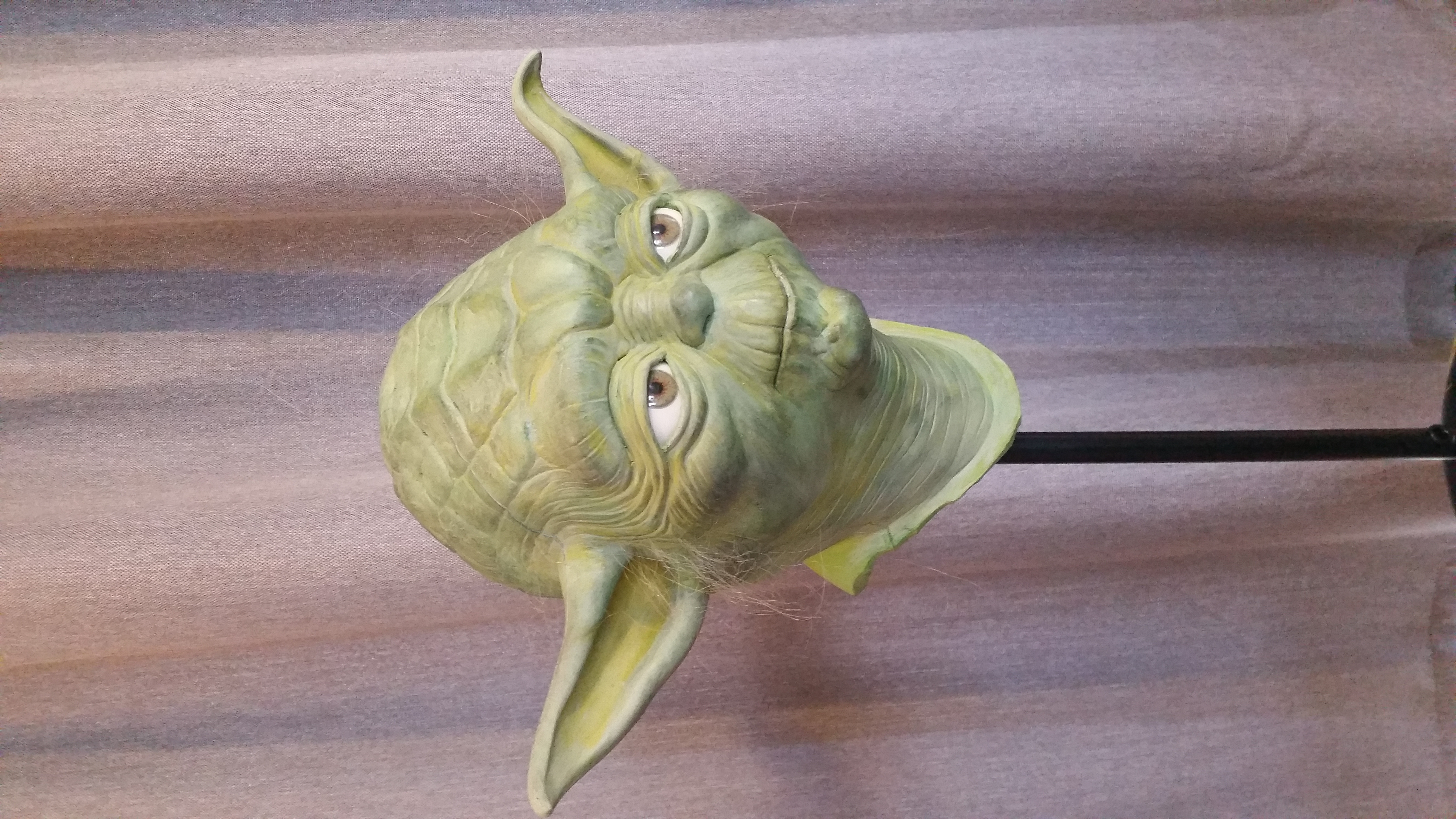 20150726_114505.jpg