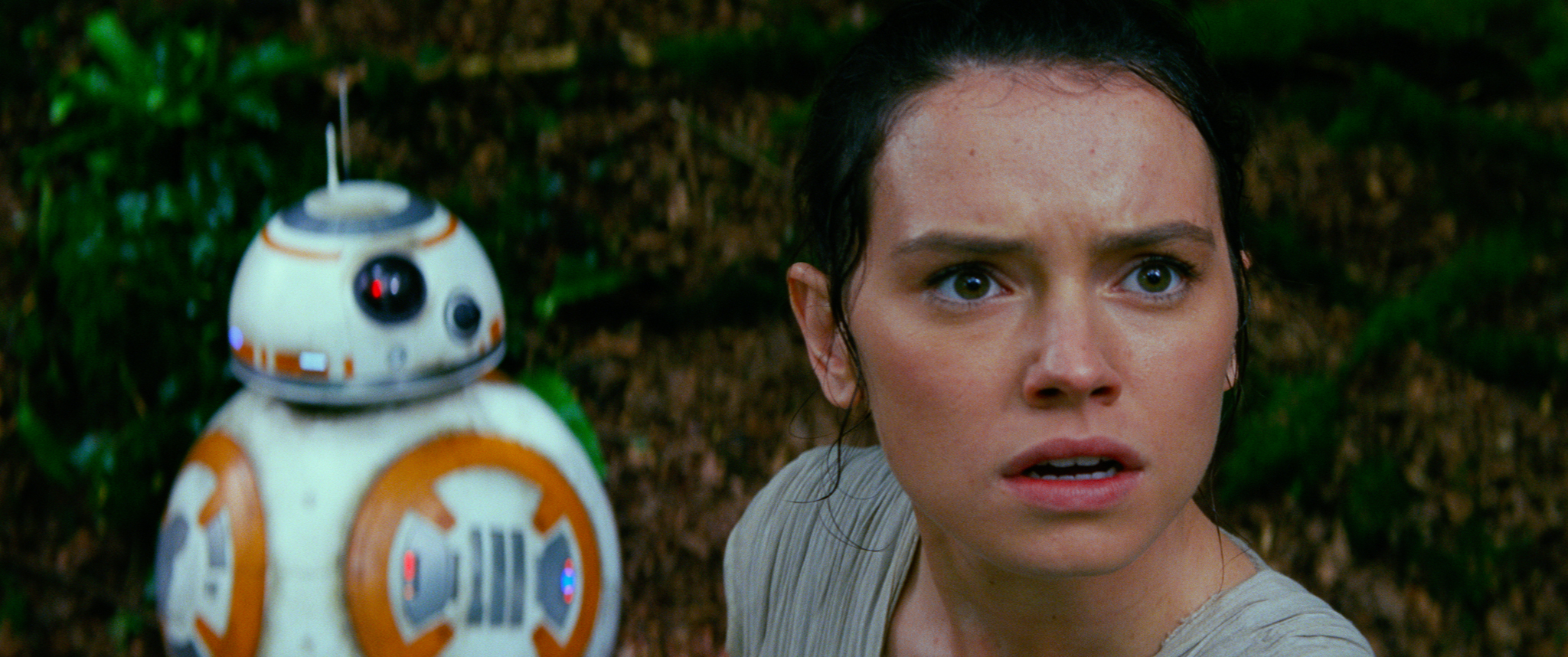 BB-8 and Rey.jpg