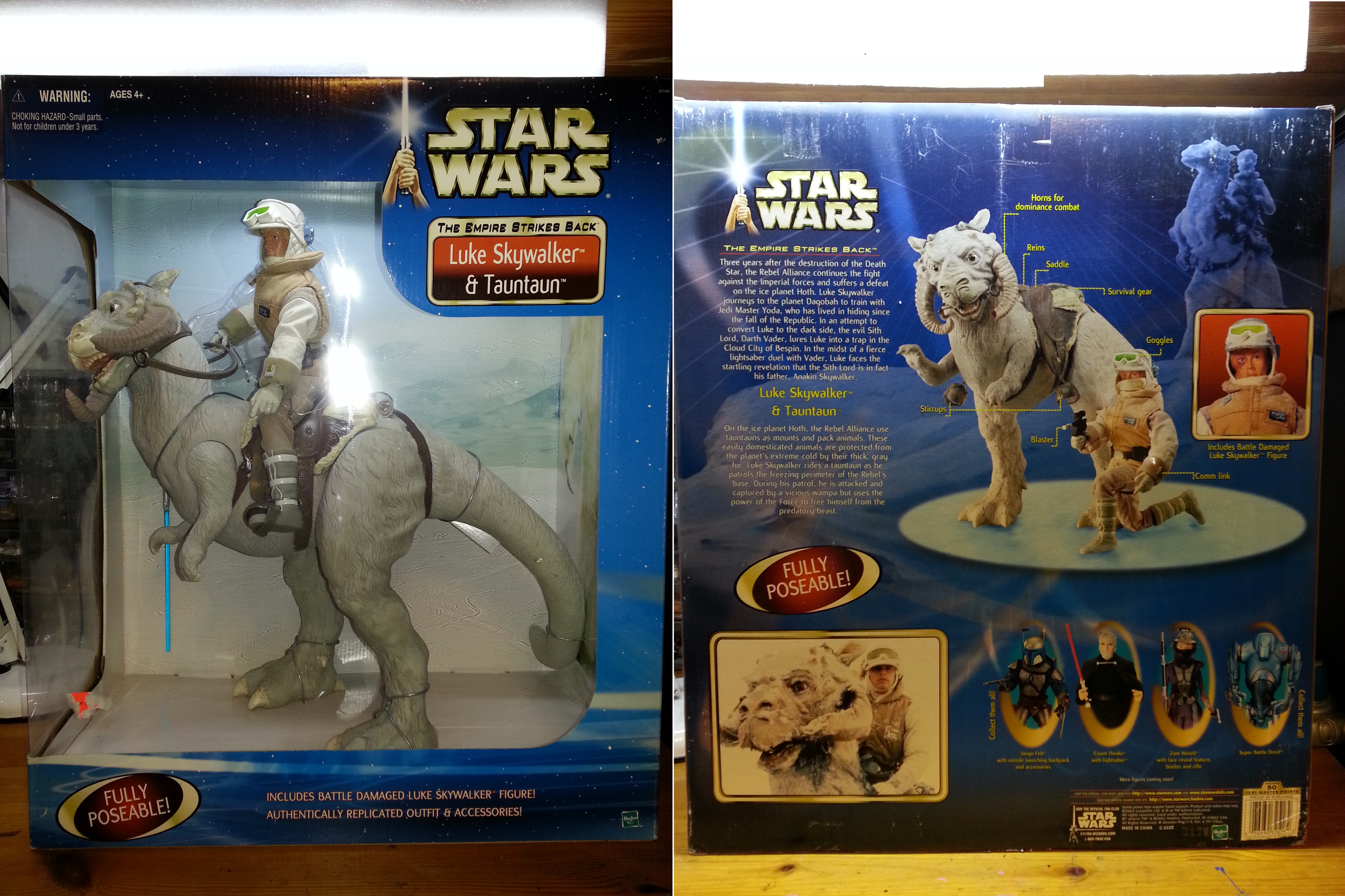 Front and Back