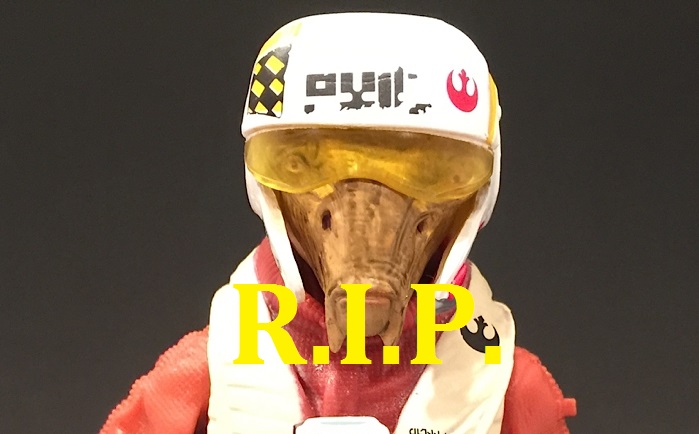 ripp.jpg