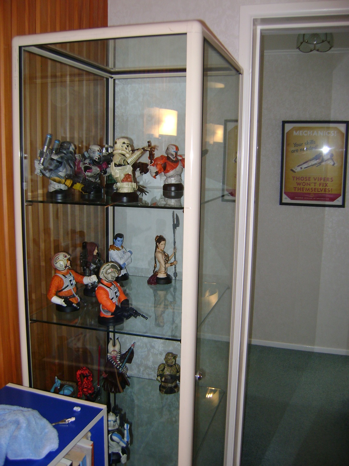 Display Cabinet Side View.JPG