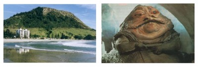 MtMaungajabba.JPG