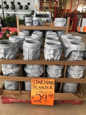 Bunnings SW Planters $5ea!